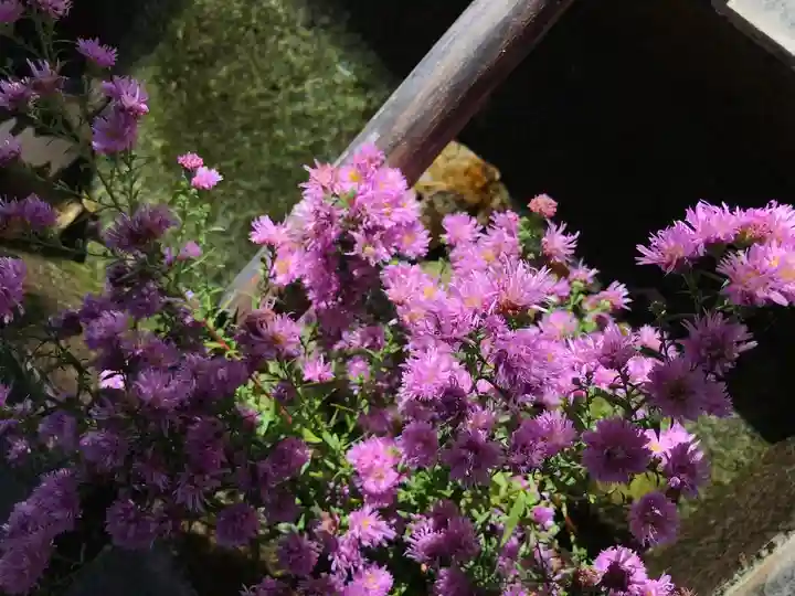 高司神社〜むすびの神の鎮まる社〜(福島県)