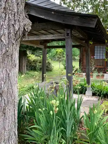 南泉寺の手水