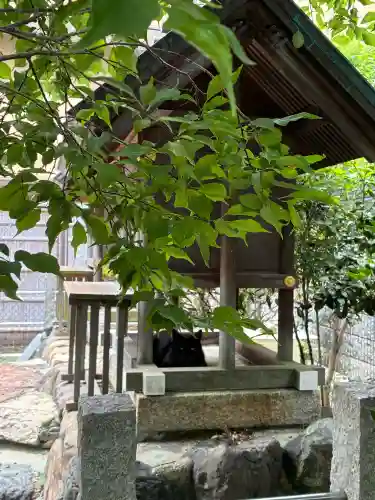 梅宮大社(京都府)