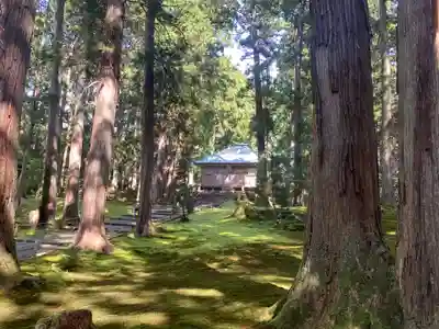 平泉寺白山神社(福井県)