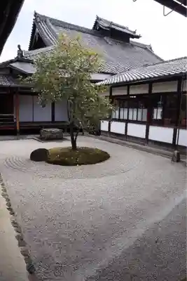 建仁寺（建仁禅寺）(京都府)