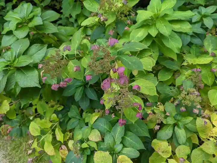 詩仙堂(丈山寺)(京都府)