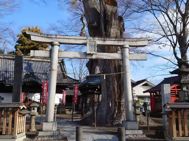 科野大宮社(長野県)