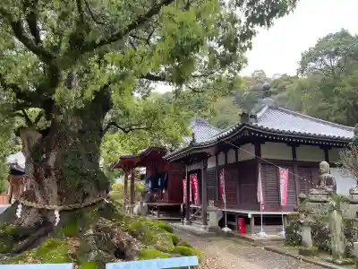 観音寺(香川県)