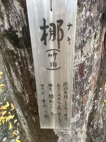 豊川閣　妙厳寺の自然