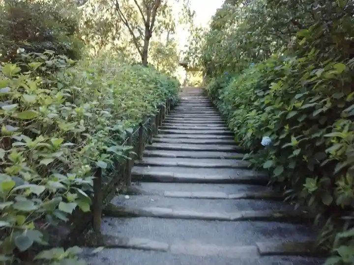 明月院(神奈川県)