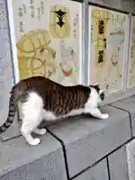 蔵前神社の動物