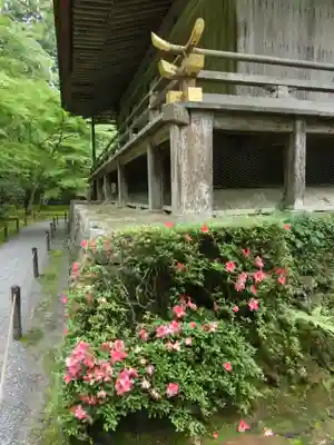 三千院門跡のその他建物
