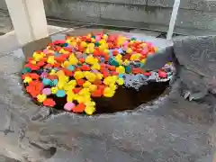 杉杜白髭神社の手水