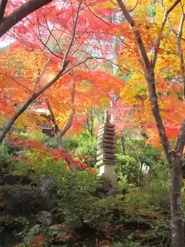 常寂光寺(京都府)