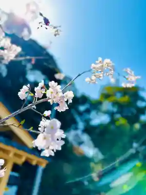 泉神社(茨城県)