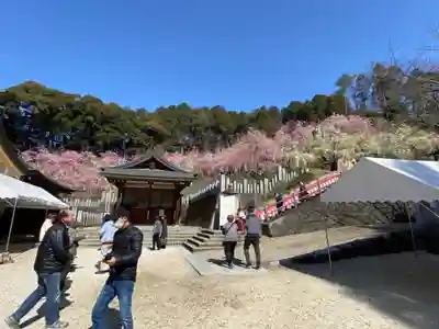 大縣神社のその他建物