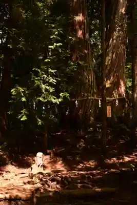 戸隠神社火之御子社(長野県)