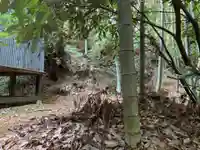 稲荷神社の自然