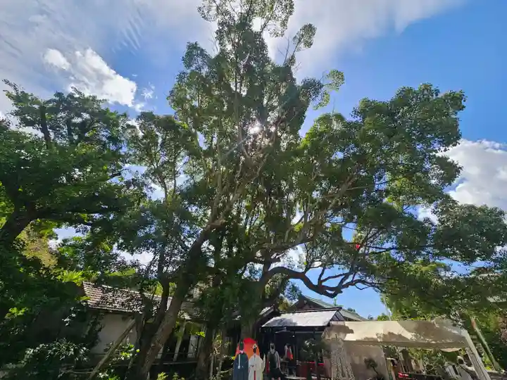 天津神明宮(千葉県)