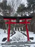 富士桜神社(山梨県)