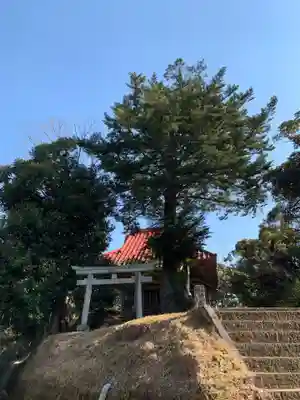 月読神社の自然