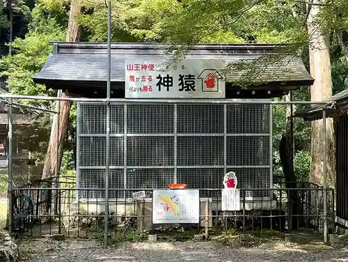 日吉大社(滋賀県)