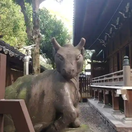 牛嶋神社の狛犬