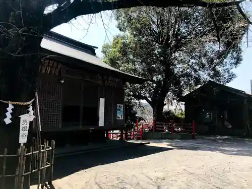 豊玉姫神社の建物その他