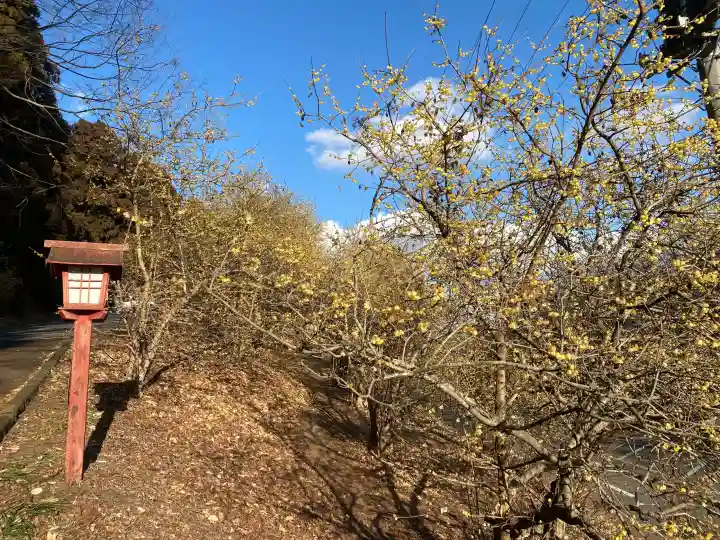 羽黒山神社の{uncategorized: "未分類", other: "その他", undefined: "問題あり", building: "その他建物", grave: "お墓", sacred_gate: "鳥居", guardian: "狛犬", statue: "像", buddha: "仏像", history: "歴史", nature: "自然", garden: "庭園", animal: "動物", pagoda: "塔", temizu: "手水舎", mountain_gate: "山門・神門", sanctuary: "本殿・本堂", subordinate: "末社・摂社", art: "芸術", scenery: "景色", jizo: "地蔵", ema: "絵馬", goshuin: "御朱印", omikuji: "おみくじ", items: "授与品その他", amulet: "お守り", goshuincho: "御朱印帳", eats: "食事", festival: "お祭り", votive_dance: "神楽", shichigosan: "七五三参", wedding: "結婚式", experience: "体験その他", initially: "初詣", around: "周辺", anti_infection: "感染症対策"}