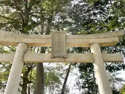 駕輿丁若宮神社(滋賀県)