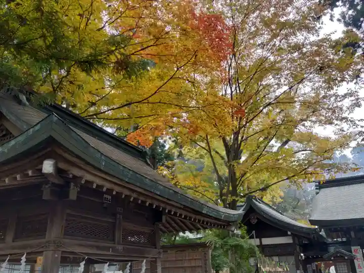 駒形神社の自然