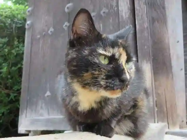 長岳寺(奈良県)