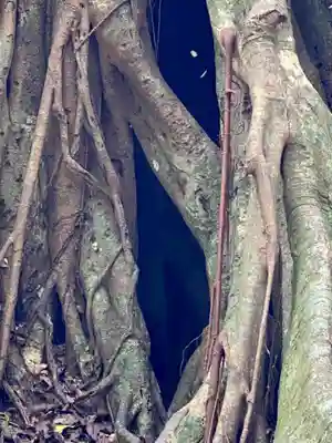 松尾天満宮(高知県)