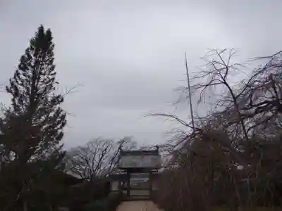 桃林寺(三重県)