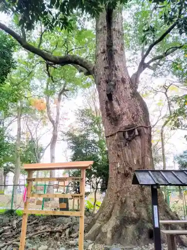 高座結御子神社（熱田神宮摂社）の自然