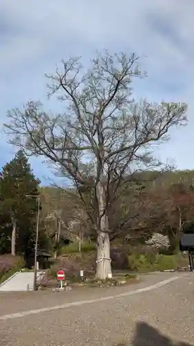 本別神社の自然