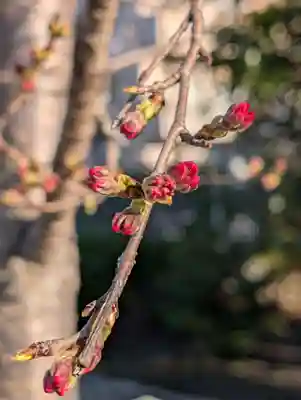潮田神社(神奈川県)