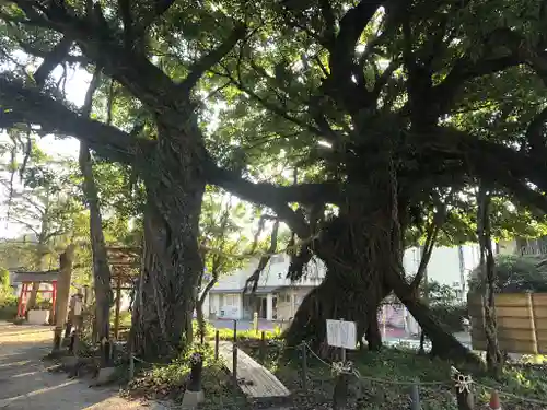 野島神社の自然