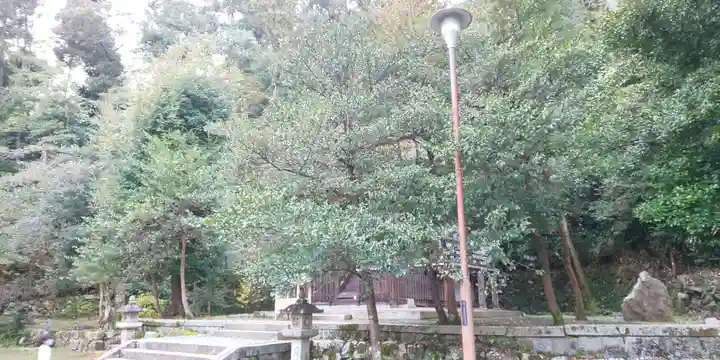 月読神社(松尾大社摂社)の自然