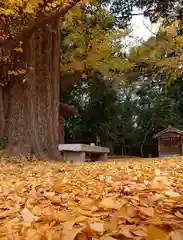 玉敷神社(埼玉県)