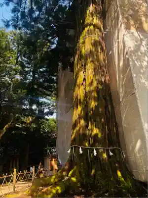 須佐神社(島根県)