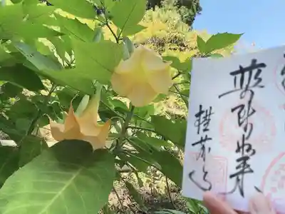 横蔵寺(岐阜県)