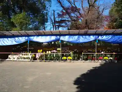 諏訪神社のその他建物