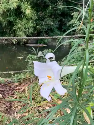 咳嗽神社のその他建物