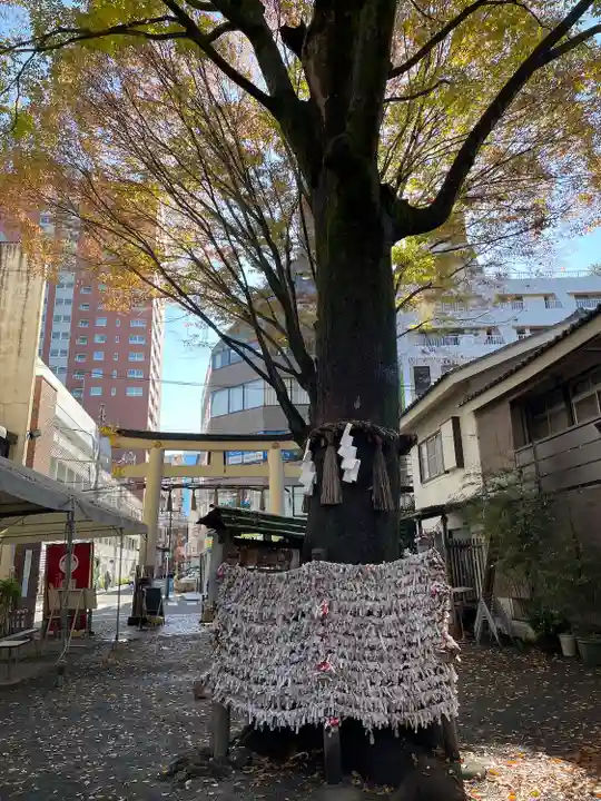 子安神社(東京都)