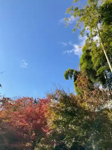 直指庵(京都府)