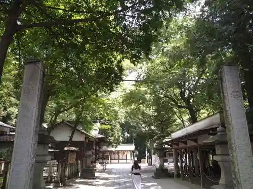 調神社の鳥居