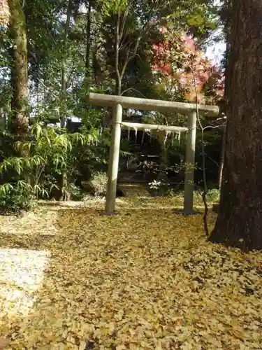 御霊神社（上御霊神社）の鳥居