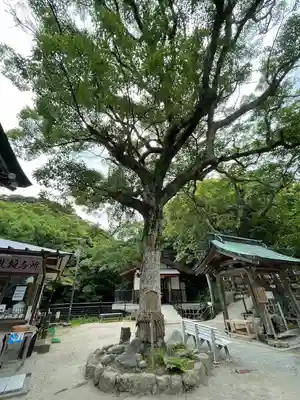 志賀海神社(福岡県)