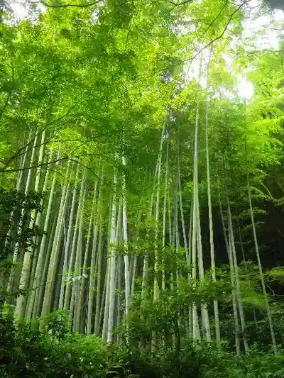 瑞泉寺のその他建物