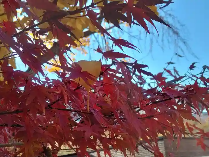 心行寺(東京都)