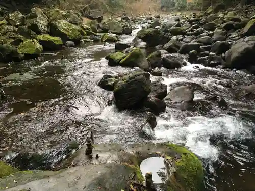 天岩戸神社の自然