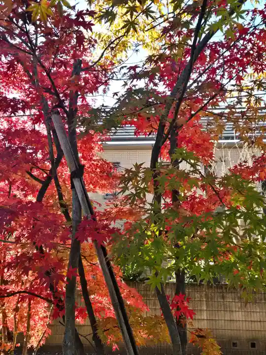 武蔵一宮氷川神社(埼玉県)