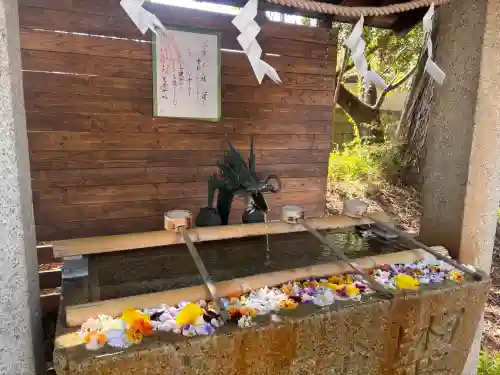 星宮神社の{uncategorized: "未分類", other: "その他", undefined: "問題あり", building: "その他建物", grave: "お墓", sacred_gate: "鳥居", guardian: "狛犬", statue: "像", buddha: "仏像", history: "歴史", nature: "自然", garden: "庭園", animal: "動物", pagoda: "塔", temizu: "手水舎", mountain_gate: "山門・神門", sanctuary: "本殿・本堂", subordinate: "末社・摂社", art: "芸術", scenery: "景色", jizo: "地蔵", ema: "絵馬", goshuin: "御朱印", omikuji: "おみくじ", items: "授与品その他", amulet: "お守り", goshuincho: "御朱印帳", eats: "食事", festival: "お祭り", votive_dance: "神楽", shichigosan: "七五三参", wedding: "結婚式", experience: "体験その他", initially: "初詣", around: "周辺", anti_infection: "感染症対策"}